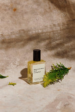 Load image into Gallery viewer, 02 Le Long Fond - Perfume Oil
