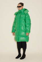 Load image into Gallery viewer, Steilia Down Jacket
