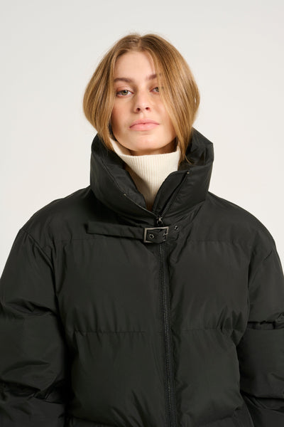 Pinara long puffer