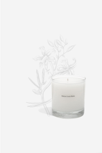 Load image into Gallery viewer, Scented candle no.03 from maison louise marie. With ingredients of the scent handdrawn the background. 
