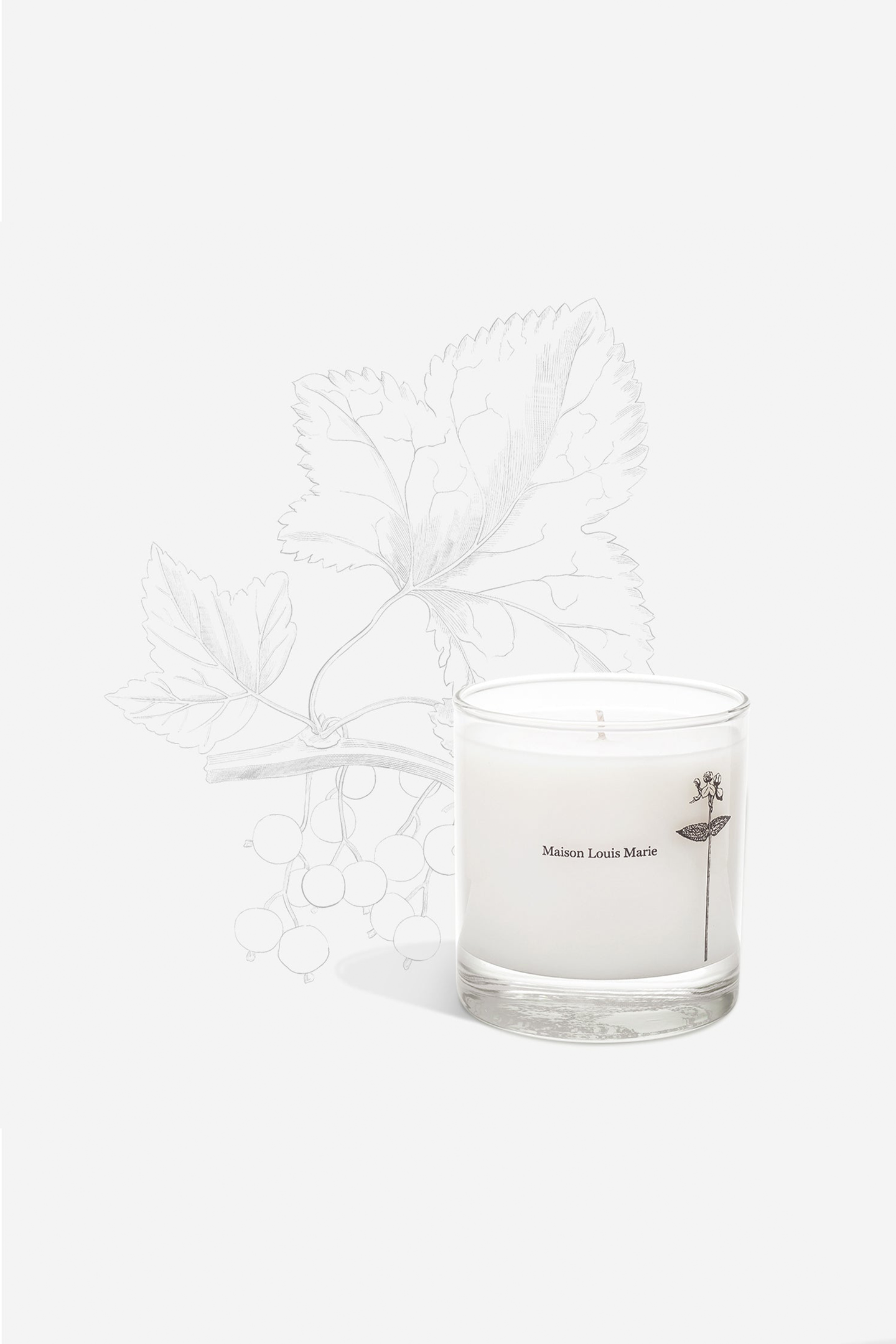 Antidris Cassis - Candle